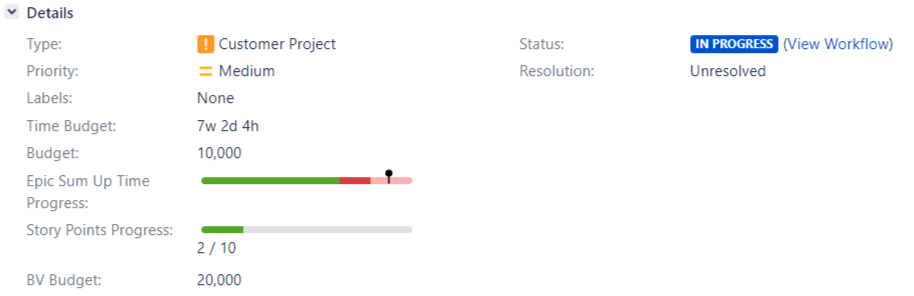 custom fields in the issue view.png